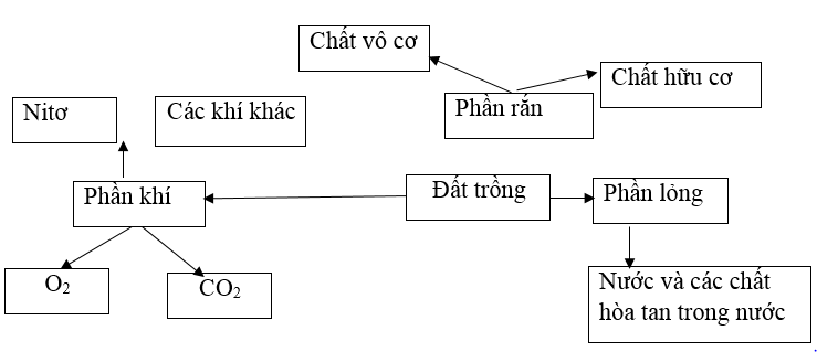 Giải SBT Công nghệ 7 Bài 2: Khái niệm về đất trồng và thành phần cần đất trồng
