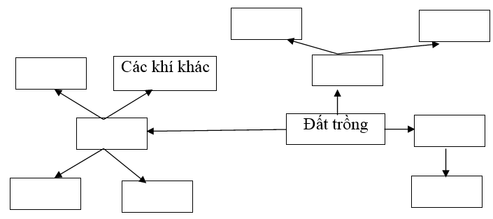 Giải SBT Công nghệ 7 Bài 2: Khái niệm về đất trồng và thành phần cần đất trồng