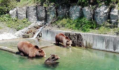 Thủ đô các nước