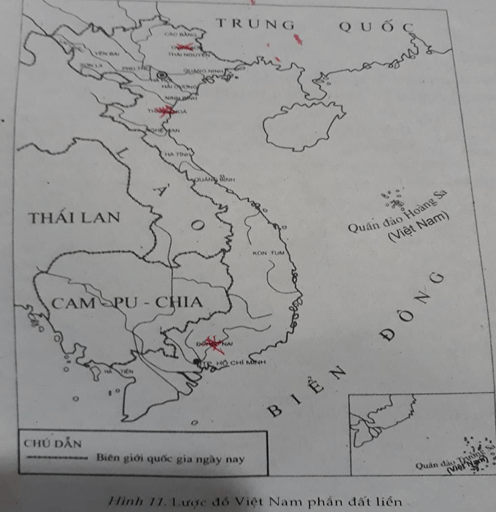 Giải VBT Lịch sử lớp 6 - Bài 8