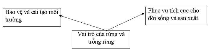 SBT Công nghệ 7 bài 22