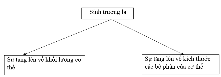 Giải SBT Công nghệ 7