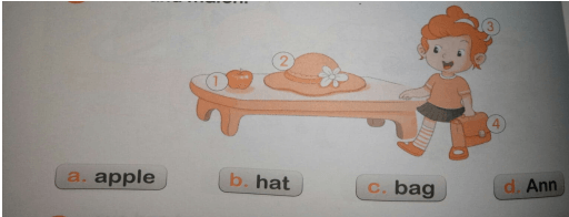 Giáo án Tiếng Anh lớp 1 Tuần 9 sách Macmillan