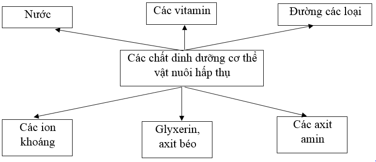 Giải SBT Công nghệ 7 Bài 38