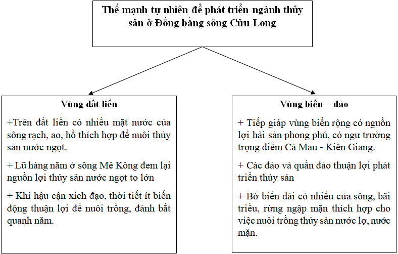 Giải VBT Địa Lý lớp 9 bài 36: Vùng Đồng bằng sông Cửu Long (tiếp theo)