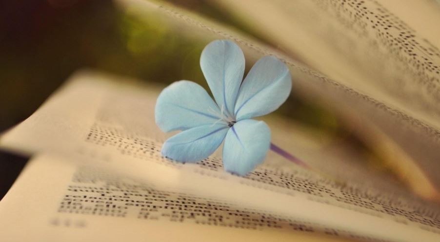 mấy ý nghĩa về thơ