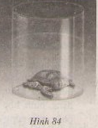 Giải bài tập SGK Toán lớp 9 bài 1: Hình Trụ - Diện tích xung quanh và thể tích của hình trụ