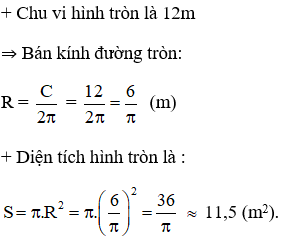 Giải bài tập SGK Toán lớp 9 bài 10: Diện tích hình tròn, hình quạt tròn