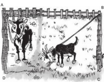 Giải bài tập SGK Toán lớp 9 bài 10: Diện tích hình tròn, hình quạt tròn