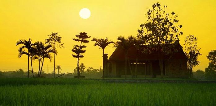 tình yêu quê hương