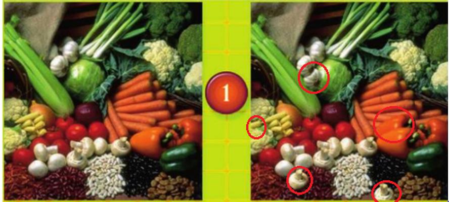 Giải bài tập tin học lớp 5