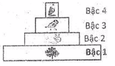 Ôn thi Đại học môn Sinh học có đáp án - Đề số 7