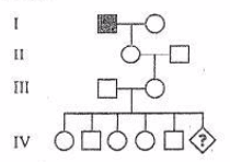 Ôn thi Đại học môn Sinh học có đáp án - Đề số 9