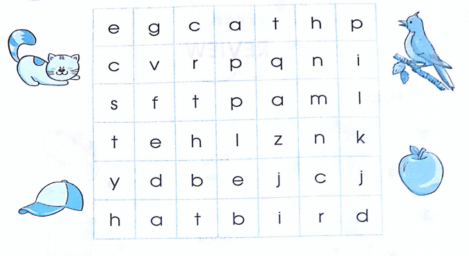 Phiếu bài tập cuối tuần môn Tiếng Anh lớp 1 Tuần 5