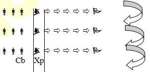 Đội hình trò chơi môn Thế dục 3