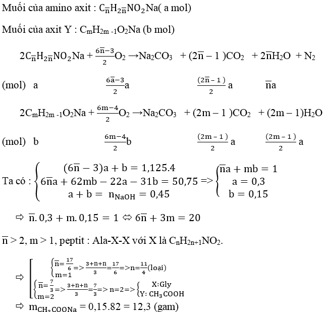 Ôn thi Đại học môn Hóa học có đáp án - Đề số 16