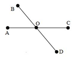 Bài tập Toán lớp 6 bài Ba điểm thẳng hàng