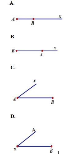 Bài tập Toán lớp 6 bài Tia