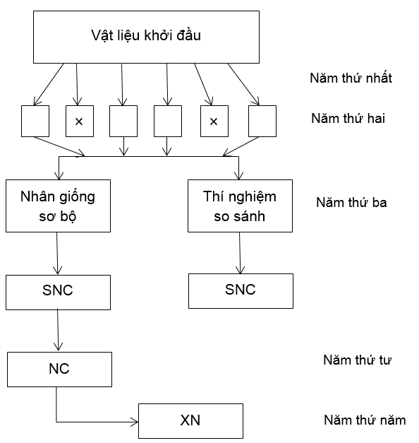 Giải SBT Công nghệ lớp 10 - Bài 3 + 4