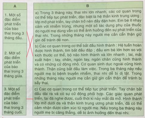 Giải Khoa học lớp 5 VNEN bài Sự sinh sản