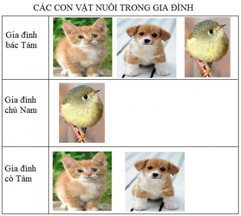 Giải Toán lớp 4 VNEN bài Biểu đồ tranh