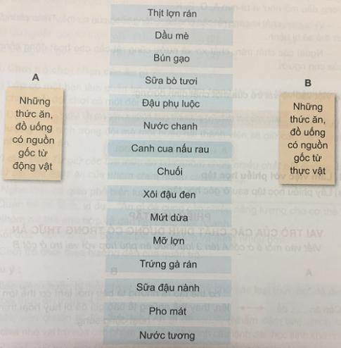 Các chất dinh dưỡng có vai trò gì