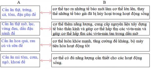 Các chất dinh dưỡng có vai trò gì