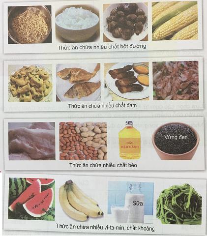 Các chất dinh dưỡng nào có trong thức ăn của con người?