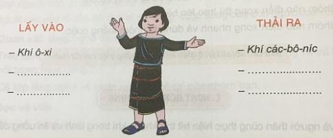 Cơ thể người trao đổi chất như thế nào?