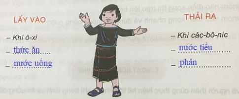 Cơ thể người trao đổi chất như thế nào?