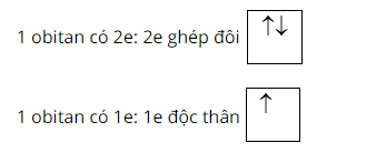 chuyên đề hóa học 10