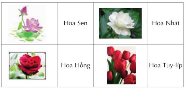 Giải bài tập Tin học lớp 5: Chèn hình ảnh vào văn bản