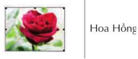 Giải bài tập Tin học lớp 5: Chèn hình ảnh vào văn bản