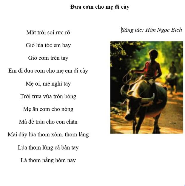 Giải bài tập Tin học lớp 5: Những gì em biết (trang 79)