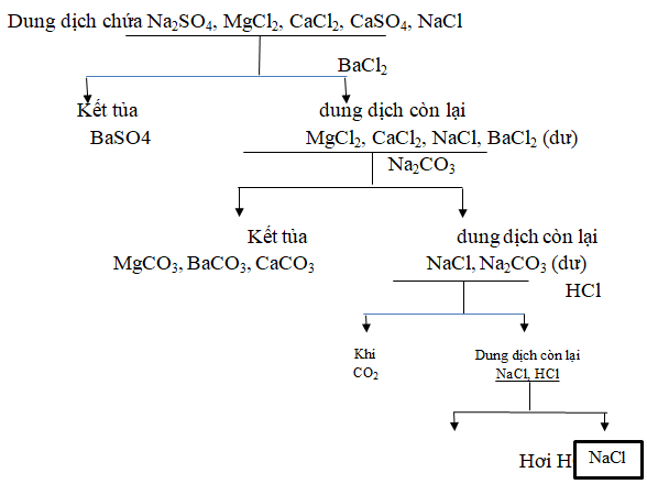 chuyên đề hóa học 10
