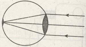 Đề kiểm tra 15 phút môn Vật lý lớp 9 bài 48: Mắt