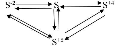 chuyên đề hóa học 10