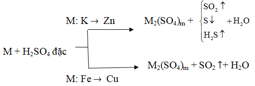 chuyên đề hóa học 10