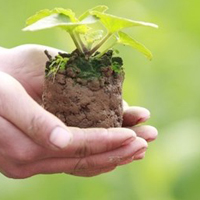 Giáo án hoạt động ngoài giờ lên lớp lớp 7 - Tiết 7