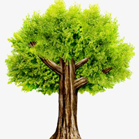 Giáo án hoạt động ngoài giờ lên lớp lớp 7 - Tiết 5