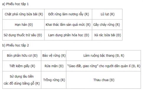 Giải Địa lí lớp 5 VNEN bài Đất và rừng
