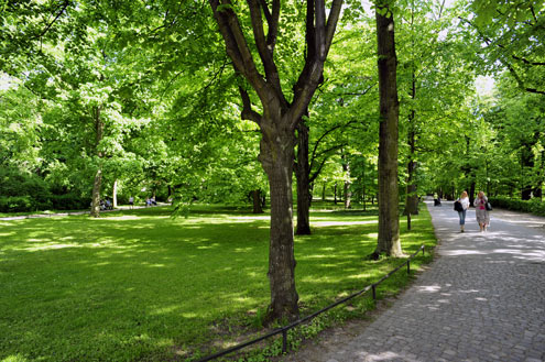 Tả canh công viên vào buổi sáng