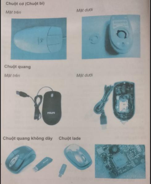 Giải Sách bài tập Tin học lớp 4 bài 1