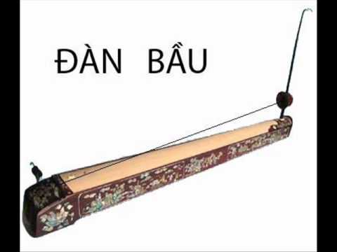 Thuyết minh về một nhạc cụ dân tộc: Đàn bầu