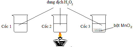 chuyên đề hóa học 10