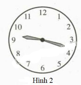 Giải VBT Toán lớp 6