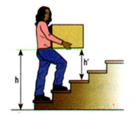 chuyên đề vật lý 8