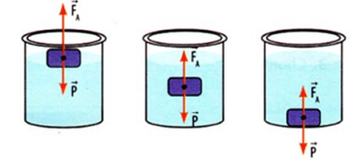chuyên đề vật lý 8