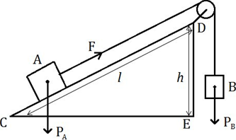 Trắc nghiệm: Sự chuyển hóa và bảo toàn cơ năng