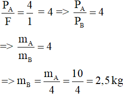 Trắc nghiệm: Sự chuyển hóa và bảo toàn cơ năng